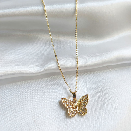 Midas Gold  Butterfly